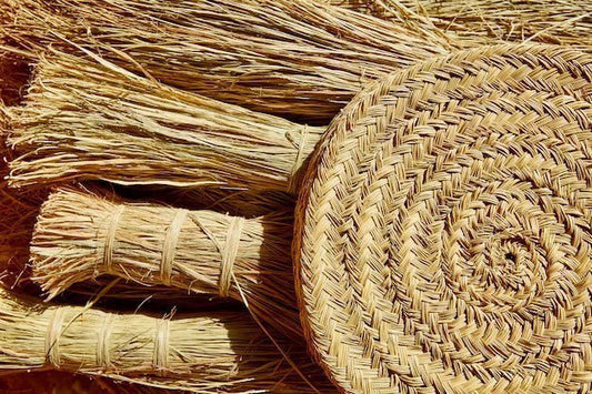 Fibre végétale esparto artisanat espagnol tressage naturel matière brute